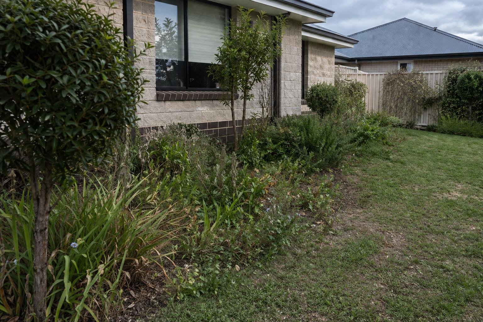 Overgrown garden bed before Clearpath maintenance
